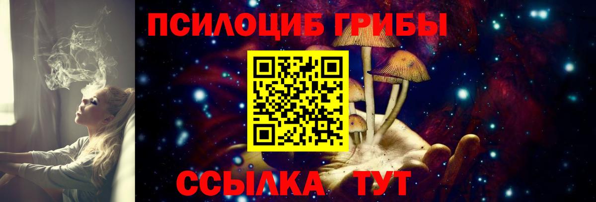Нижневартовск  Псилоцибиновые грибы прущие грибы  наркошоп  Вход с VPN 